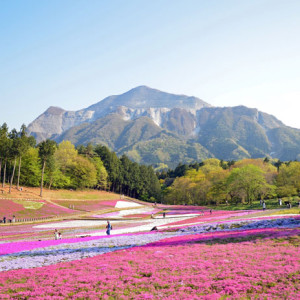 羊山公園