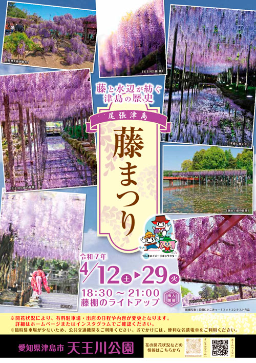 2025　津島天王川公園　藤まつり