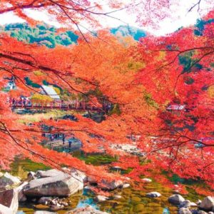 香嵐渓の紅葉