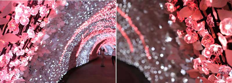 100mの光のトンネル「梅」