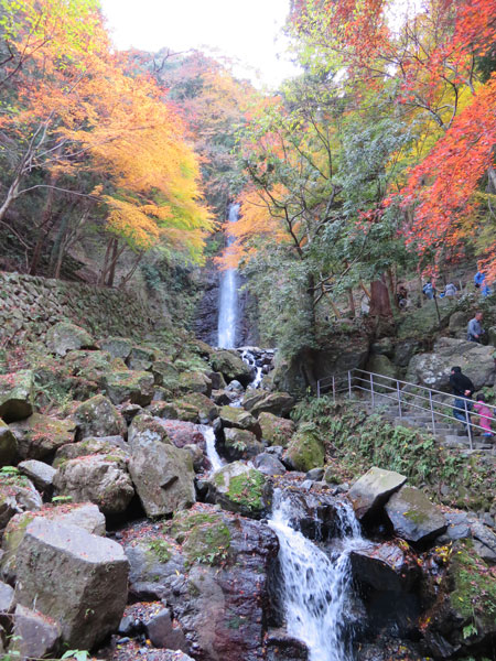 養老の滝と紅葉