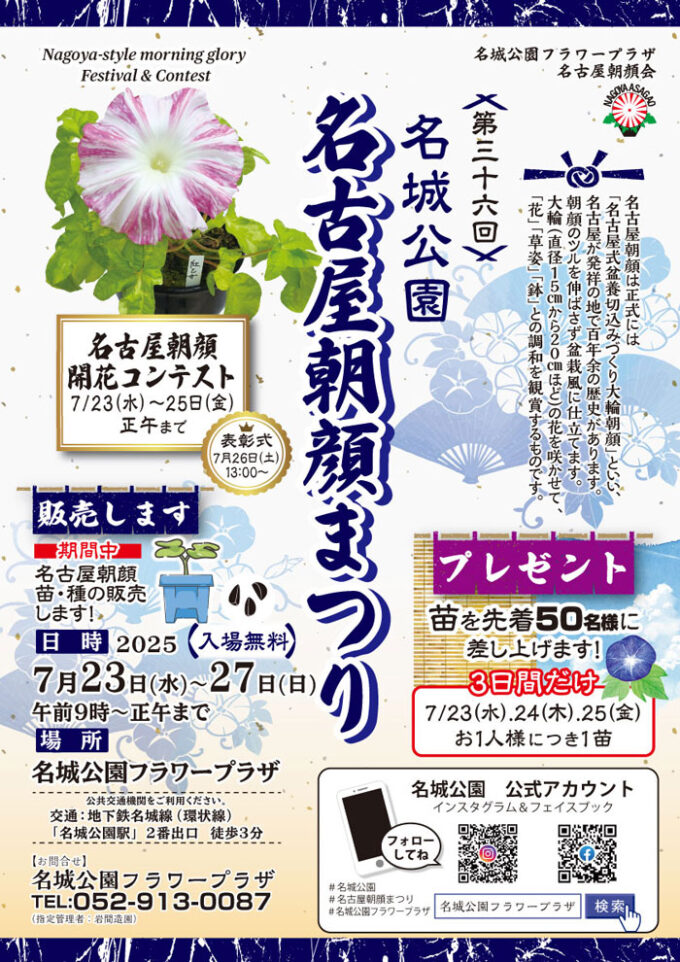 名城公園　名古屋朝顔まつり　2025