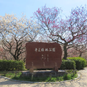 平芝公園