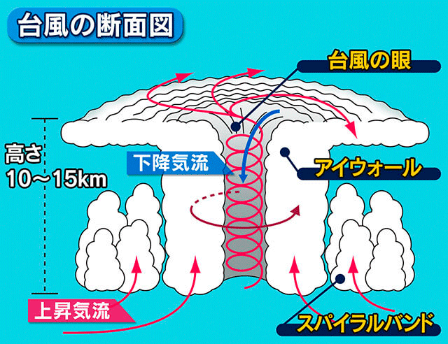 台風の断面図
