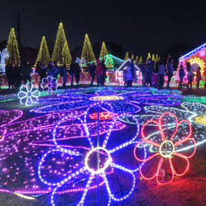 【海津】木曽三川公園センターのイルミネーションは超おすすめ！駐車場には注意！